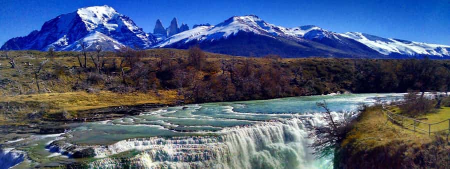 From El Calafate: Torres del Paine Full Day Tour - Why This Day Trip Works: Patagonian Icons in One Long 16 Hours
