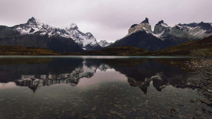 From El Calafate: Torres del Paine Full Day Tour - Lake Nordenskjöld and Mirador de los Cuernos: The 1.5-Hour Walk