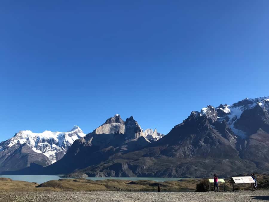 From El Calafate: Torres del Paine Full Day Tour - Price and Value: When $229 Feels Fair