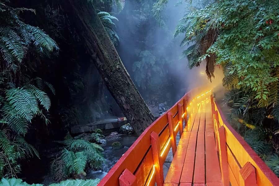 From Pucón: Geometric Hot Springs - The ride from Pucón and the timing that shapes your day