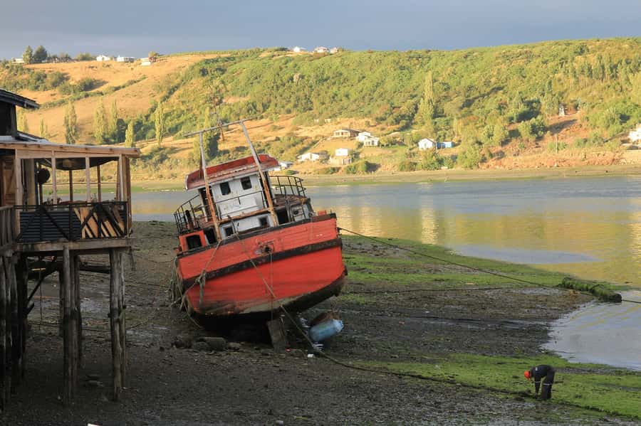 From Puerto Varas: Chiloe Island Full-day Tour - Key Highlights Worth Planning Around