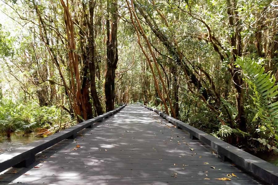 From Puerto Varas: Full Day to Termas del Sol & Cochamo Valley - Key highlights you will actually feel