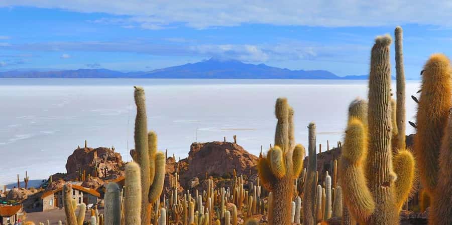 From San Pedro de Atacama: 3 days to Uyuni Salt Flat - Salvador Dalí Desert, Polques Hot Springs, and Sol de Mañana at 90 C