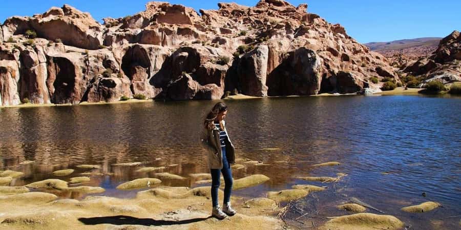 From San Pedro de Atacama: 3 days to Uyuni Salt Flat - Day 2: Valley of Rocks, Camello and Sora, and Wild-Animal Country
