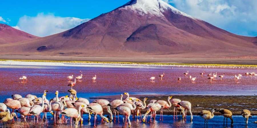 From San Pedro de Atacama: 3 days to Uyuni Salt Flat - Sunrise Over Salar de Uyuni, Then Incahuasi Island