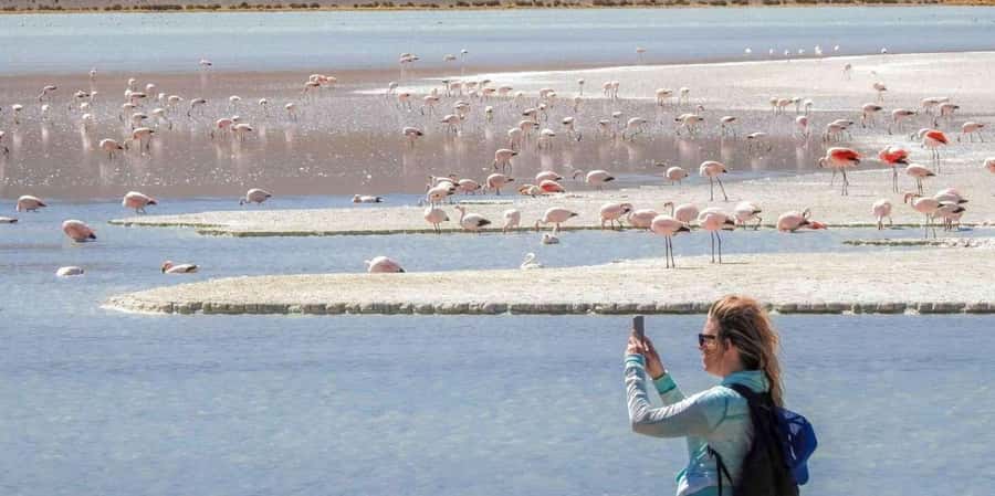 From San Pedro de Atacama: 3 days to Uyuni Salt Flat - Salt Museum, Colchani Crafts, and the Train Cemetery