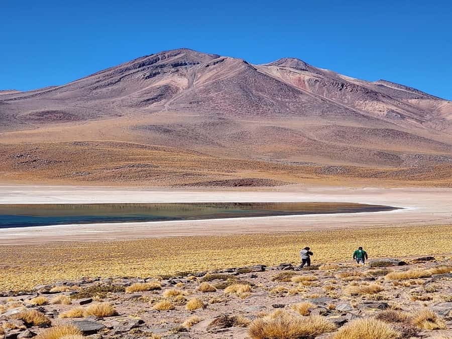 From San Pedro de Atacama: Lagoons and Piedras Reds - Why this San Pedro day trip covers so much Atacama