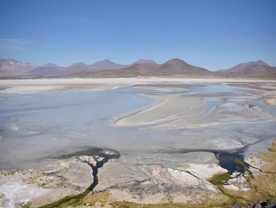From San Pedro de Atacama: Lagoons and Piedras Reds - Laguna Chaxa in Los Flamencos Reserve: the salt-flat edge works
