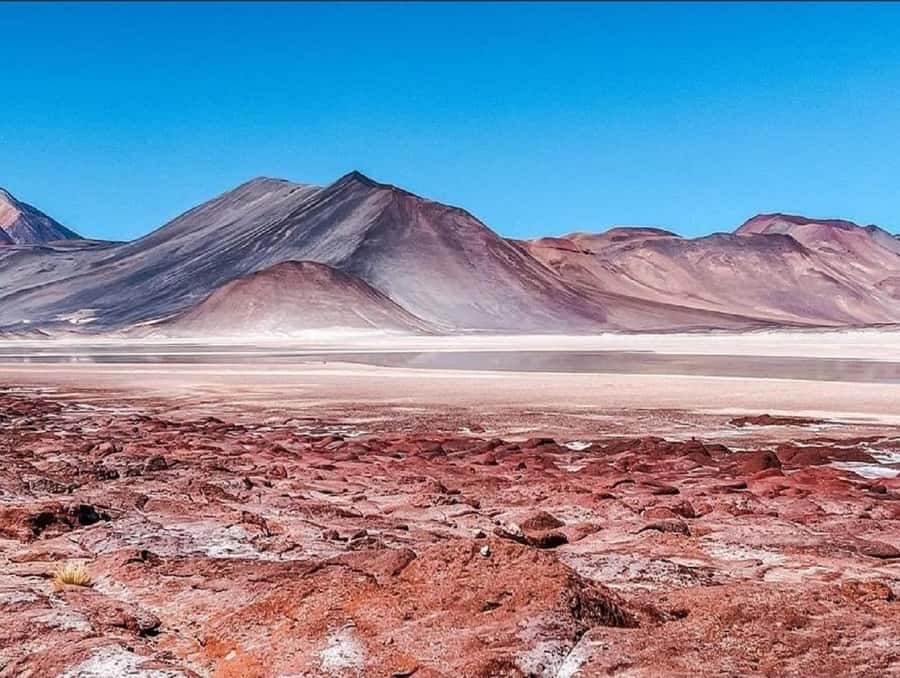 From San Pedro de Atacama: Lagoons and Piedras Reds - Small-group comfort, and what pickup feels like