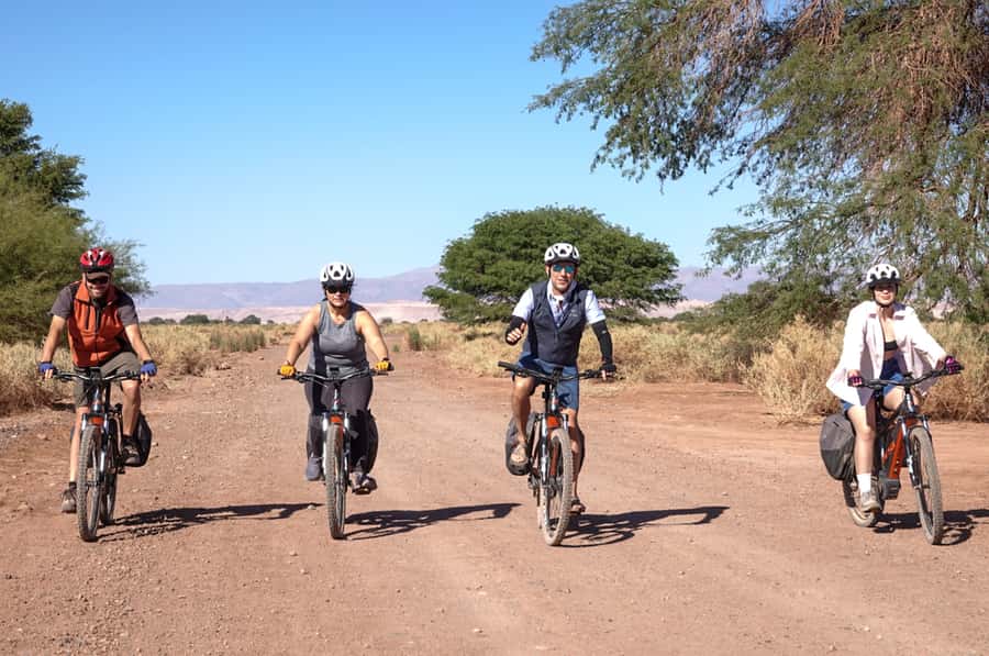 From San Pedro de Atacama: Laguna Cejar E-biking Adventure - Key things to know before you go