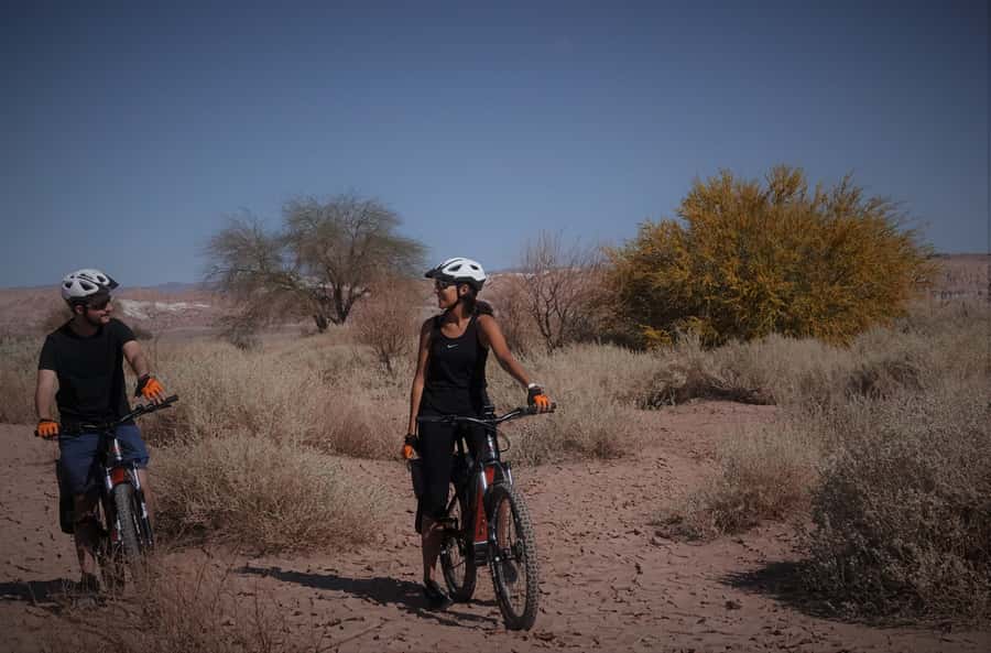 From San Pedro de Atacama: Laguna Cejar E-biking Adventure - How the guide changes the experience (and why small groups matter)
