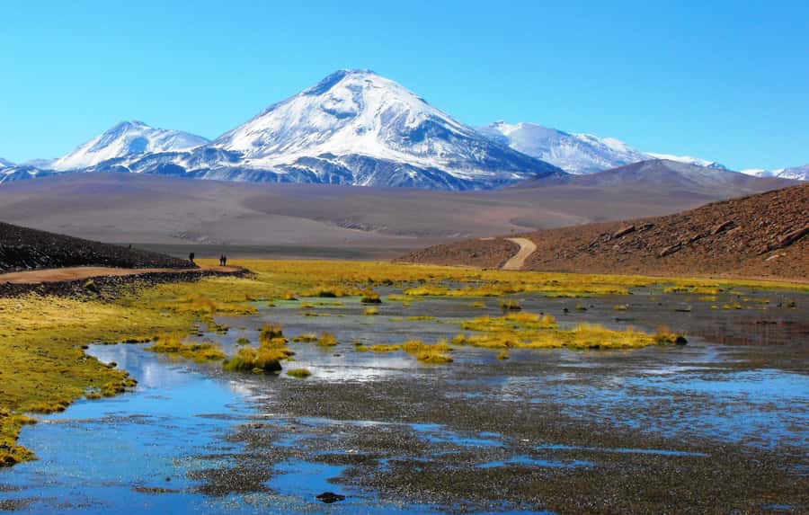 From San Pedro de Atacama: Tatio Geysers and Machuca Tour - Putana Wetland Views: The Altiplano From an Observation Point