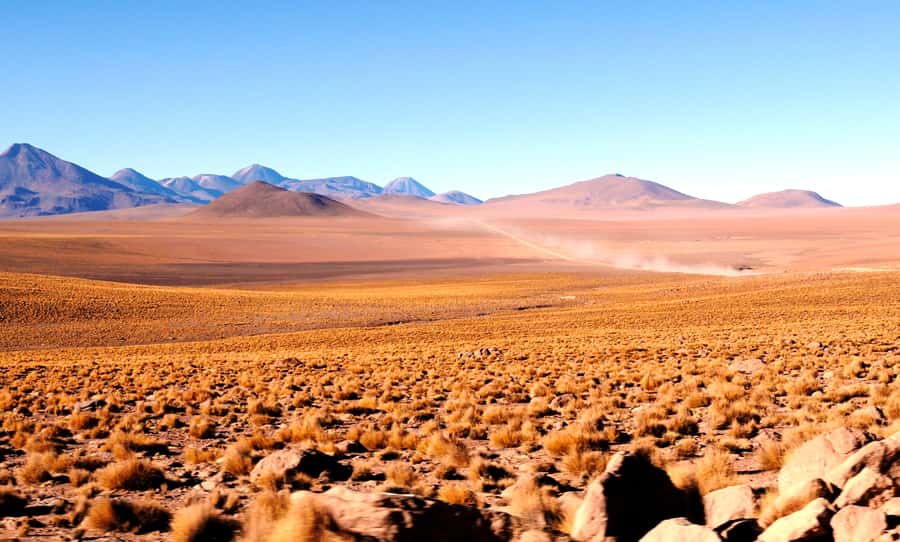 From San Pedro de Atacama: Tatio Geysers and Machuca Tour - Price and Value: Is $55 a Good Deal for This 8-Hour Day?