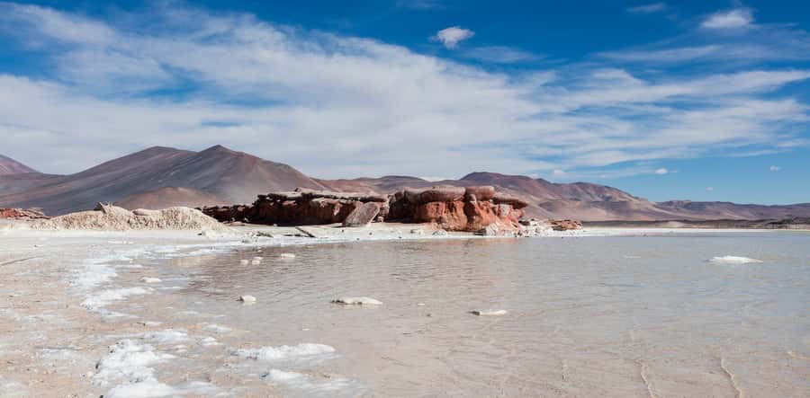 From San Pedro de Atacama: The Salt Flats Route, Full day - Salar de Tara at 4,500 m: salt lake scenery and flamingos chilensis