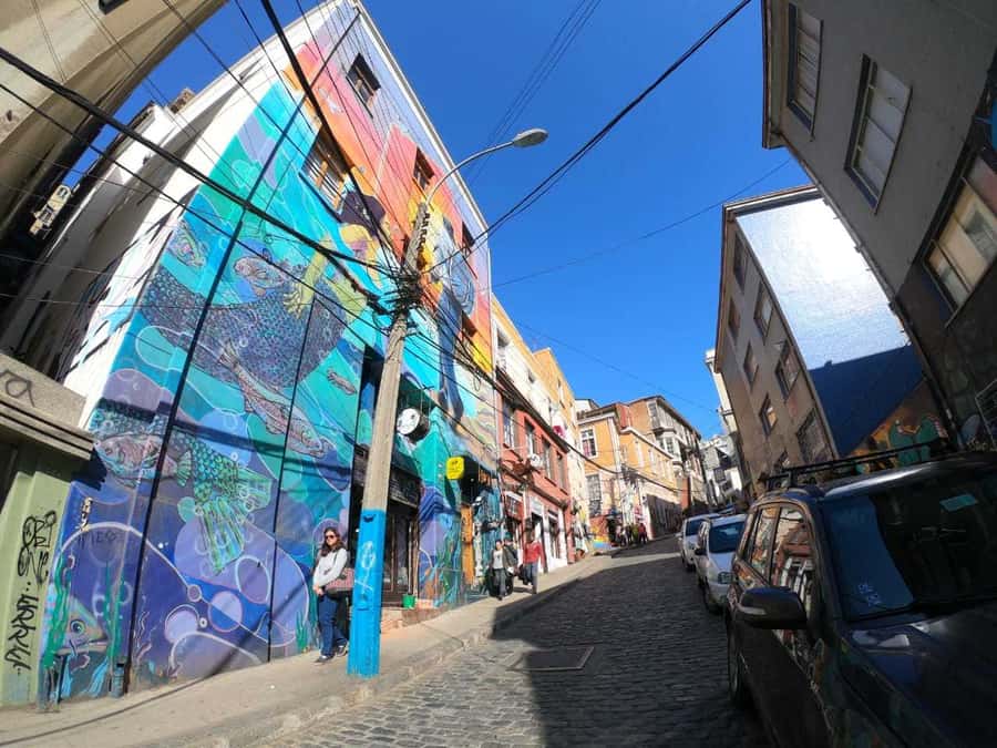 From Santiago: Highlights of Valparaiso and Viña del Mar - Valparaíso Walk With a Pro: Hills, Art, and Meaning