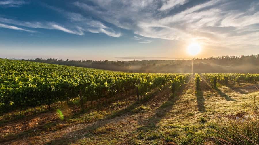 From Santiago: Isla Negra, Pablo Neruda Museum & Winery Tour - Should You Book Isla Negra and the Maipo Winery Tour?