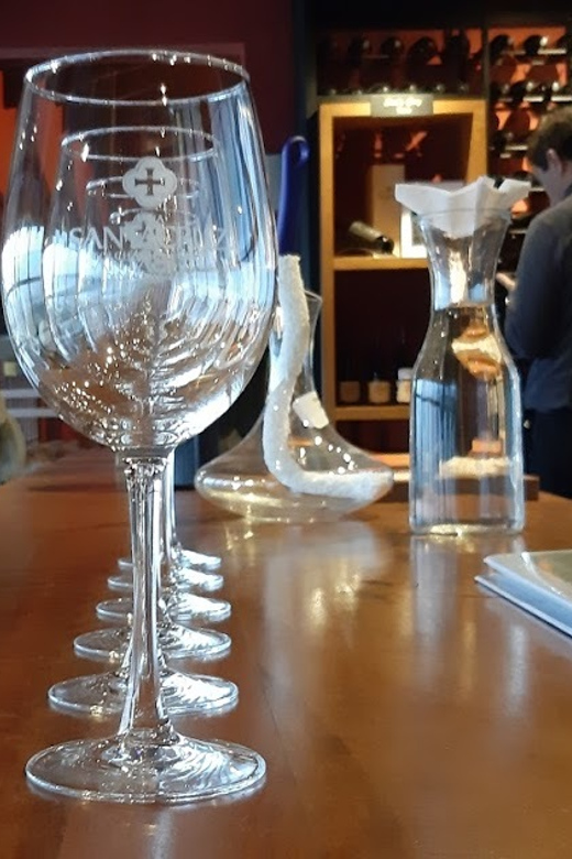 From Santiago: Isla Negra, Pablo Neruda Museum & Winery Tour - Price and Value: Why $230 Can Be Worth It