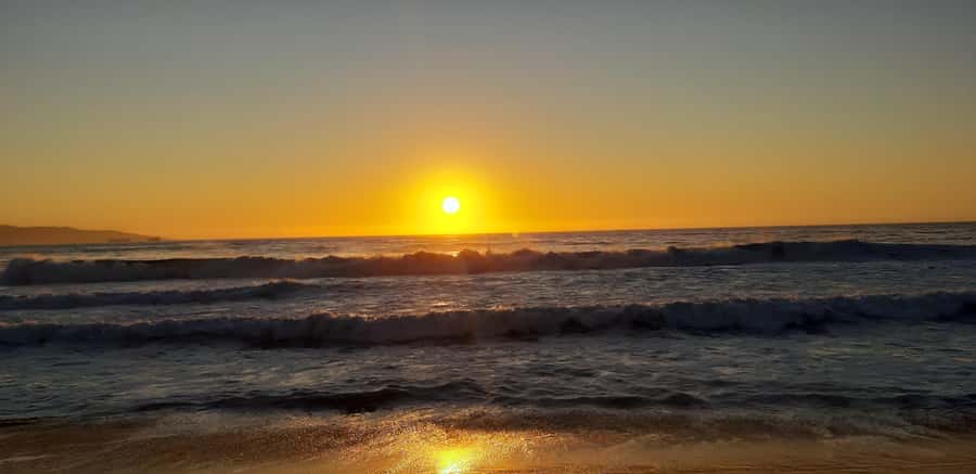 From Santiago: Isla Negra, Pablo Neruda Museum & Winery Tour - What I’d Pack and How to Prepare