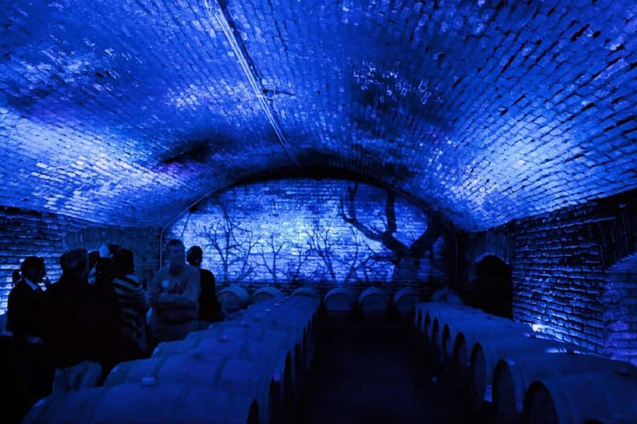 From Santiago: Maipo Valley Wine Tour - How the tasting flow works across 2 or 3 wineries
