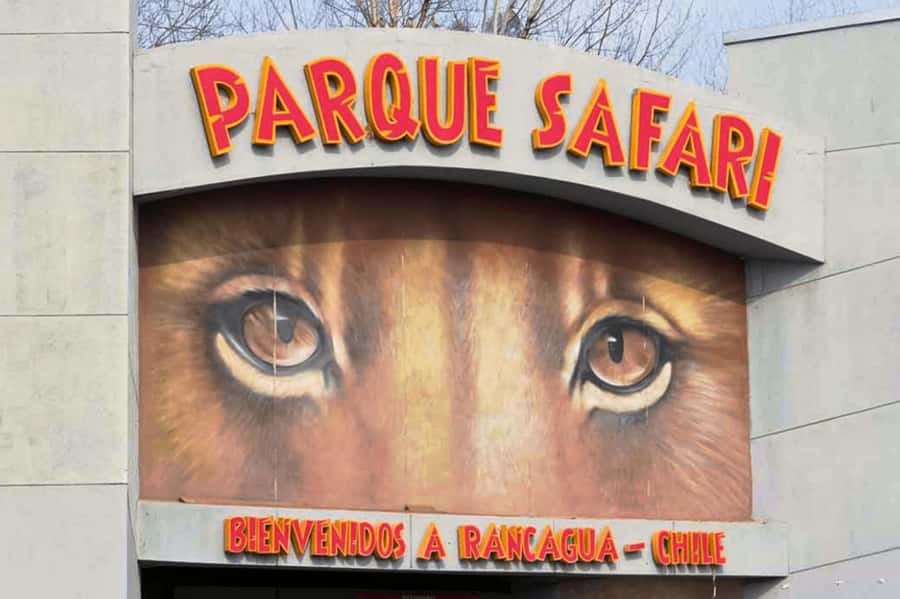 From Santiago: Safari Park, a wild experience - Breakfast on the way to big cats: how that first stop sets the tone