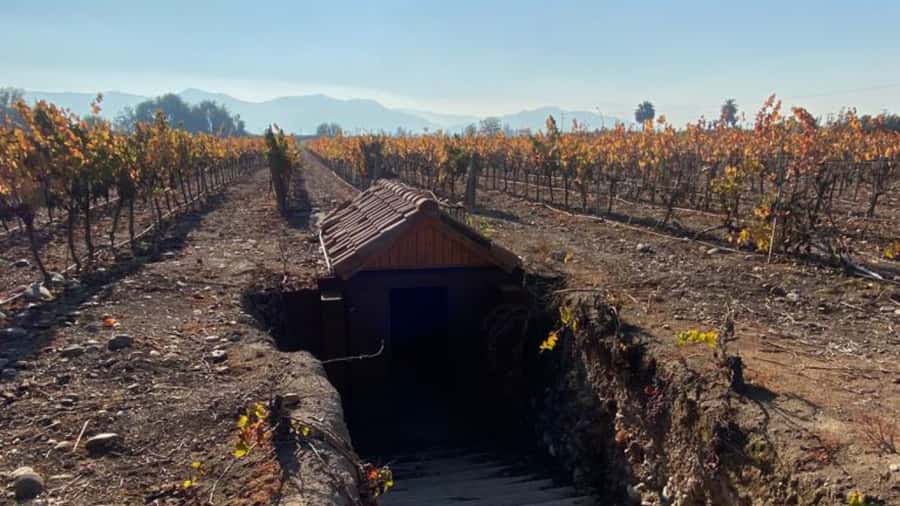 From Santiago: Undurraga Winery Tour with Tasting - Undurraga Winery and the Santa Ana Estate in the Maipo Valley