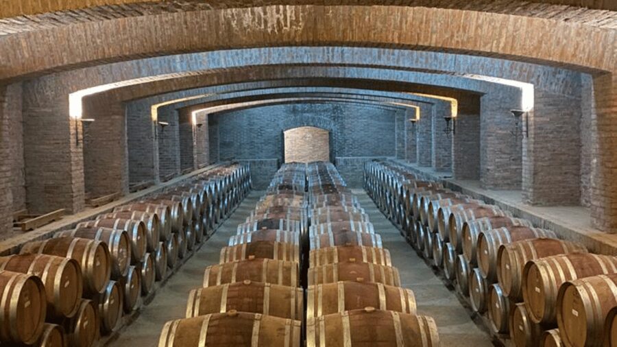 From Santiago: Undurraga Winery Tour with Tasting - Vineyard park, gardens of varieties, and learning what grapes matter here