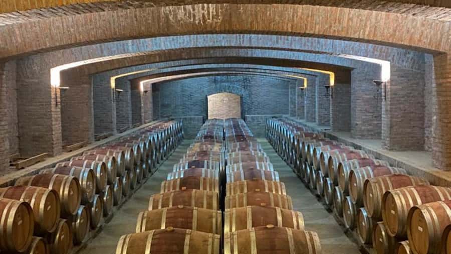 From Santiago: Undurraga Winery Tour with Tasting - Price and what $86 buys you (roundtrip, guide, and tastings)