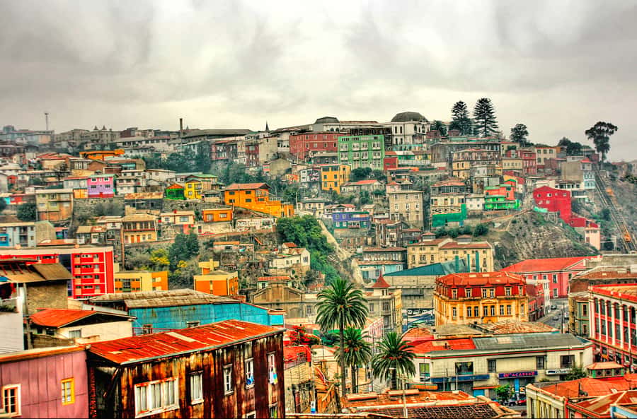 From Santiago: Valparaiso and Viña del Mar Day Tour - The morning drive: Curacaví Valley plus a quick stop for chicha