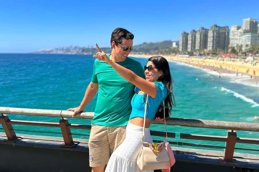 From Santiago: Vineyard, Valparaíso, and Viña del Mar Tour - Who this tour fits best, and who should choose differently