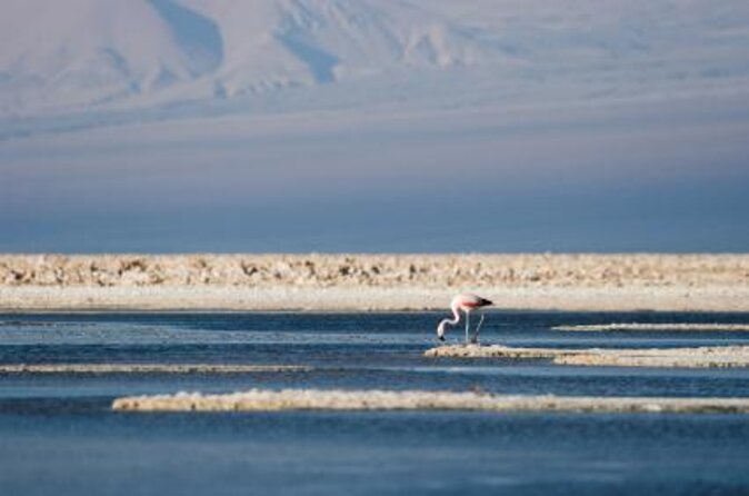 Full Atacama - SORBAC (group tours) - Full Atacama - SORBAC: what the $1,090 price really covers
