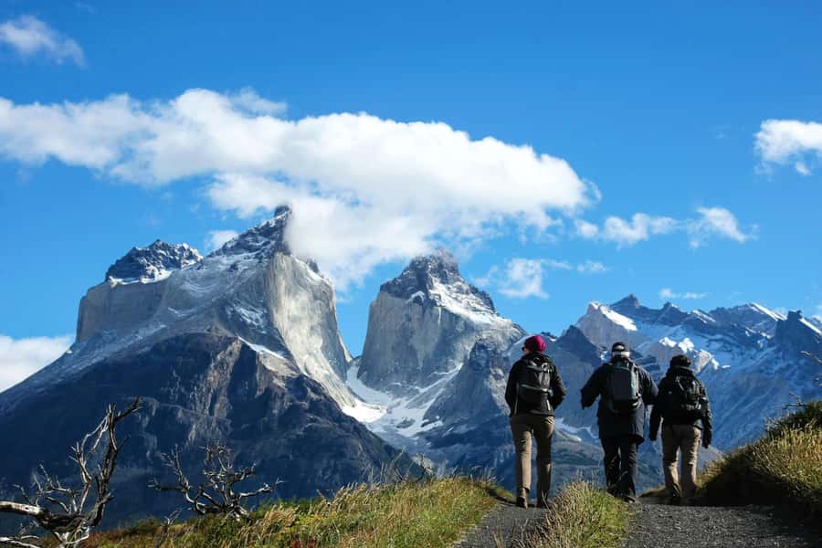 Full-Day Torres del Paine National Park from El Calafate - Quick Stops Before Torres del Paine: Cancha Carrera and Cerro Castillo