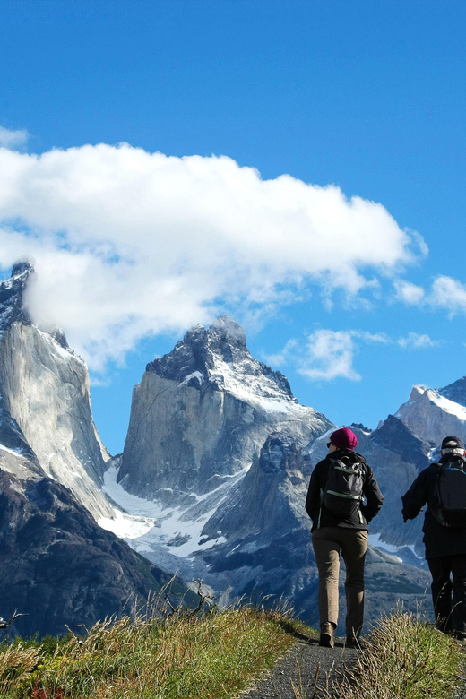 Full-Day Torres del Paine National Park from El Calafate - Torres del Paine National Park: Iconic Views and Short Walks