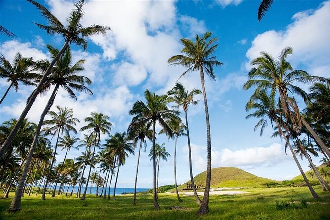 Full day tour - DREAM - Moai all day: what makes this DREAM tour work