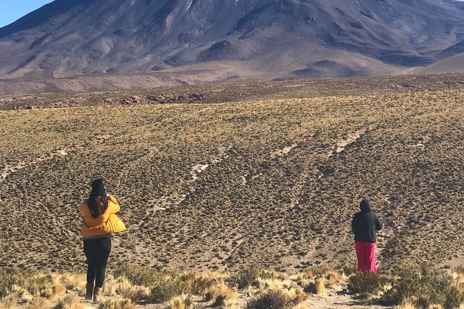 Full Day Tour to Ruta de los Salares - Aguas Calientes: the third salar and the night-to-dusk feel