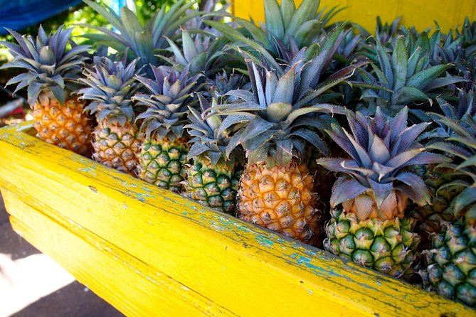 Half-Day Tour: A Taste of Paradise and History of Antigua - Comfort on Antigua Roads: Minivan Air, Bumpy Tracks, Tight Timing