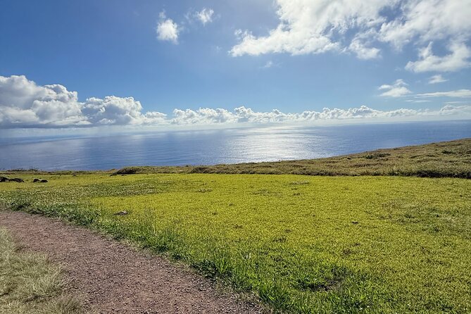 Half Day Tour in Rapa Nui - Getting around: pickup, small group limits, and the comfort details you notice