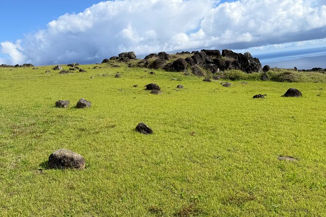 Half Day Tour in Rapa Nui - Tickets, water, and meals: the practical side of a 2 to 4 hour plan