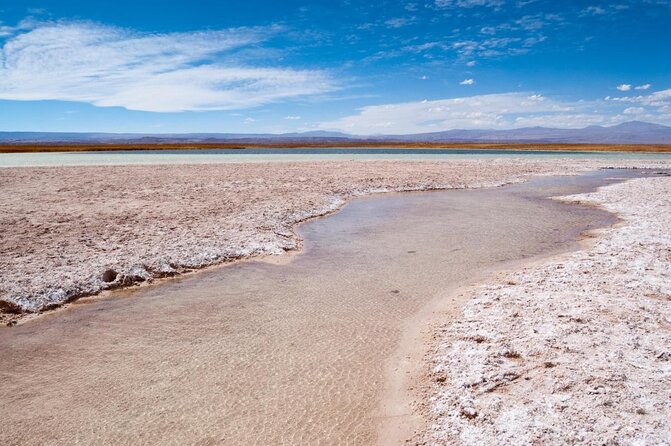 Half-Day Tour to Laguna Cejar - Quick Hits Before You Book Laguna Cejar