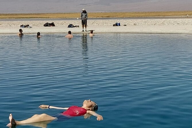 Half-Day Tour to Laguna Cejar - A Real Atacama Afternoon Plan, Built for Energy and Time
