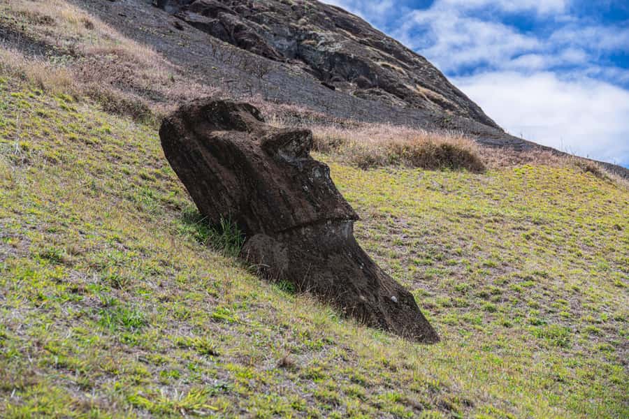 Hanga Roa: Full Day Moai and Mistery - Akahanga: Fallen Moai, Topknots, and the Story in What Went Wrong