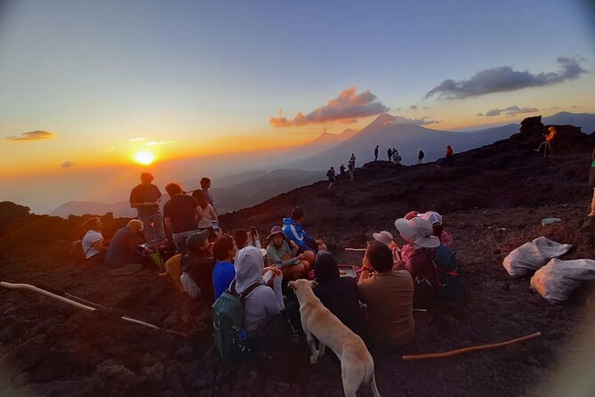 Hike to Pacaya Volcano from Antigua - Horses, walking sticks, and the local add-on vibe at the park