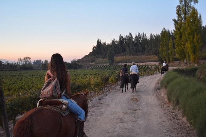 Horseback Private Wine Tour and Country Grill from Santiago - The horseback trail ride: vineyards, river views, and real space
