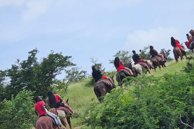 Horseback Riding at Hawksbill Beach in Five islands Antigua - Your One-Hour Route: Peggy Pond to Hawksbill Sand and the Big Overlook