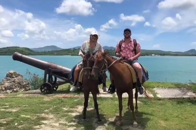 Horseback Riding at Hawksbill Beach in Five islands Antigua - Who Should Book This and Who Might Want to Skip It