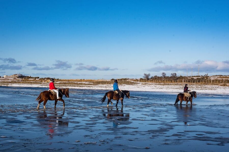 Horseback Riding near Strait of Magellan - The forest-to-sea mix: how the terrain changes your perspective
