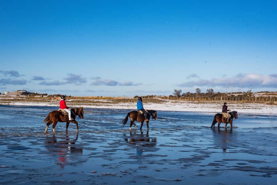Horseback Riding near Strait of Magellan - From Punta Arenas to Agua Fresca Lodge: your morning start