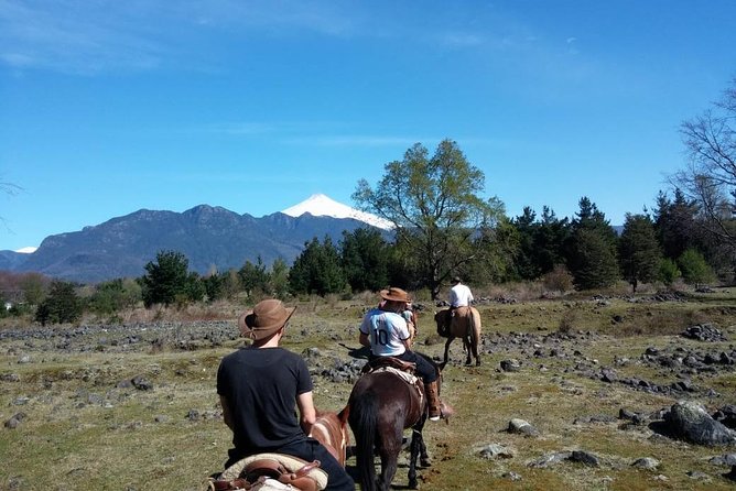 Horseback Trailride Excursion - How the Guides Help You Connect with Your Horse