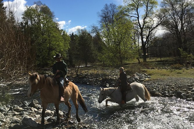 Horseback Trailride Excursion - The Waterfall Break You’ll Actually Remember