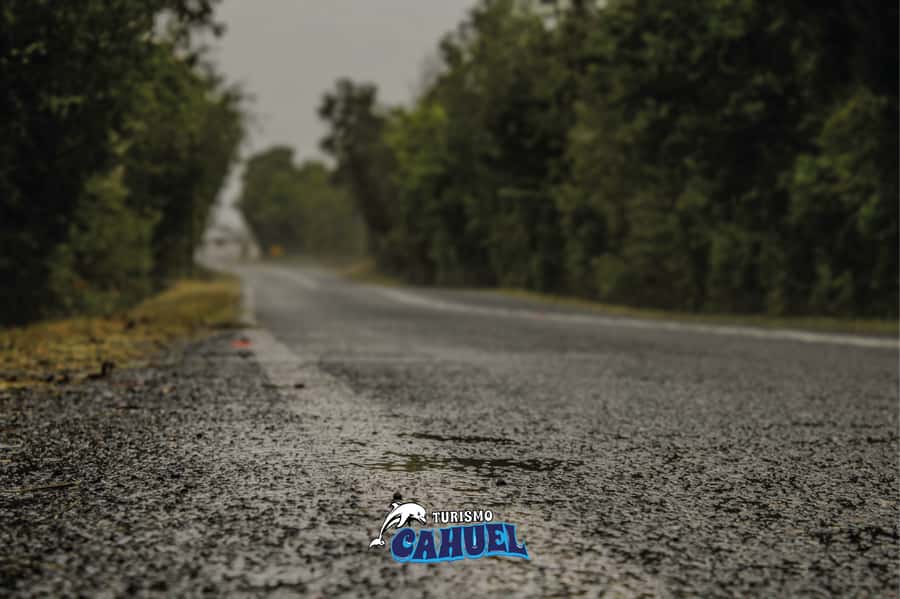 Inner Coast of Chiloé: Road and Sea. - Tocoihue Waterfall: best photos, plus legends that linger