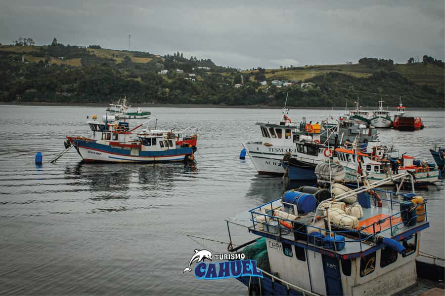 Inner Coast of Chiloé: Road and Sea. - The guides make or break the experience (and the language is a real plus)